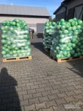 Sprzedam kapusta biała jakość marketowa kaliber 1-3,5 kg opakowanie do uzgodnienia 