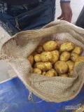 Sprzedamy młode ziemniaki z Grecji
