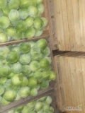 Sprzedam kapuste biała zimowa kal.1-4kg czysta zdrowa zielona opakowanie karton box