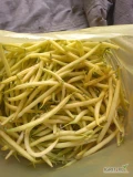 Sprzedam fasolke żółtą  pod wieczór dostepne bedzie ok 200 kg 7zł kg