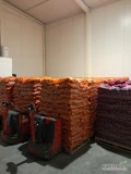 Sprzedam cebulę cal.6-8 i 8+ ilości torowe worek 15kg towar jasny twardy i cebula czerwona 7+ worek 10kg