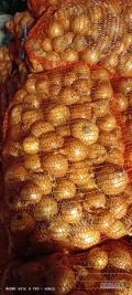 Sprzedam 12 ton suchej czystej cebuli pakowanie w worek po 15kg odmiana Supra. Cebula jak na zdjęciach . Cena za kg. Możliwość małej...