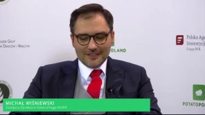 Ziemniaki z paszportem cyfrowym jeszcze w tym roku