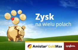 AMISTAR® GOLD MAX firmy Syngenta z rejestracją rozszerzoną o uprawy zbożowe