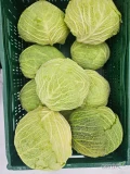 Witam. Sprzedam kapustę włoską, bez liścia, jakość marketowa.