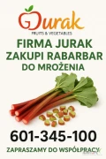 Kupię rabarbar dwustronnie cięty. Zapewniamy kisteny oraz odbiór własnym transportem. Gotówka lub przelew. 