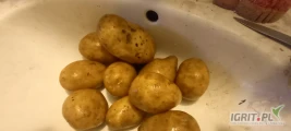 Sprzedam ziemniaki odmiany tajfun,  soraya, jurek.  Pakowane i kaliber do uzgodnienia. Możliwość transportu 