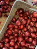 Sprzedam cebulę czerwoną kal4-8. 8+ handlowa oraz na obieranie luz BB obcięta polecam