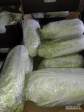Sprzedam kapustę pekińska kalibraz 0.5 do 2 kg 