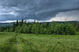 NIK o dzierżawie gruntów rolnych w parkach narodowych