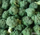 Sprzedam brokuł 500 plus 