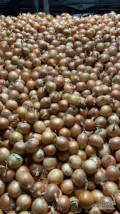 Sprzedamy cebulę żółtą, wysortowaną, po inspekcji. Kaliber 50/70. Opakowanie do uzgodnienia, big bag, worek.