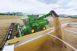 Zboża: pierwsze ceny na nowe zbiory