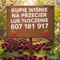Kupię wiśnie w kistenie 