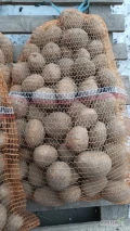 Sprzedam ziemniaki Soraya, gruby kaliber, 45+. Ilości tirowe lub busowe. Worek lub luzem