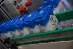 KSC wystartowało z kampanią cukrową