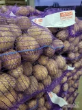 Ziemniaki GALA FITO 45+ towar czysty po szczotkach pakujemy worek szyty 5,10,15 kg lub big bag.Faktura więcej inf pod nr tel.
