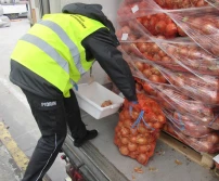 Tylko 47 osób odpowiada za bezpieczeństwo fitosanitarne na granicy polsko-ukraińskiej