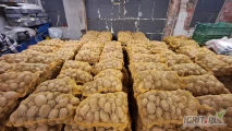 Sprzedam ziemniaki jadalne odmiany Jurek w workach 15kg. Ziemniaki czyste, z jasnej ziemi, kaliber 45+. Na chwilę obecną naszykowane 400...