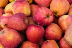 Które odmiany jabłek są najdroższe na rynkach hurtowych?