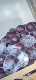 Sprzedam kapustę czerwoną kal 1-3kg. Ilości tirowe.