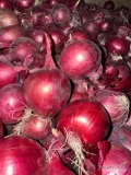 Sprzedam cebulę czerwoną kaliber 5-8 worek 5/10 kg luz Cebula fazorowana 
