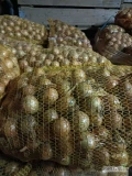 Sprzedam 2500 kg cebuli drobnej Kal 3-5 na wysadke. Cebula zdrowa, niefazerowana. Cena 0.70 zł za kg. Okolice Słomniki 32-090. Więcej...