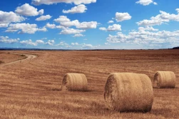 Będzie zmiana terminu sporządzenia planów nawozowych