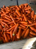 Sprzedam tirowe ilości marchwi mytej kaliber 2/4 oraz 4+