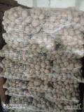 Sprzedam ziemniaki jadalne białe Irga gotowe 15 palet po 70 worków cena 9 zł worek więcej informacji pod nr tel 604145182