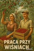Zatrudnię do rwania wiśni. Okolice Obrazowa