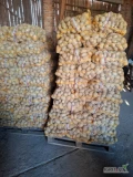 Sprzedam ziemniaki jadalne worków 500 kl 4.5 +