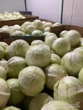 Sprzedam kapustę białą, od 3,5kg+