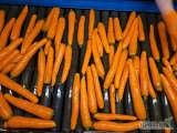 Sprzedam duże ilosci marchwi mytej po szczotce, opakowanie dowolne, mam też por i seler, możliwość stałej współpracy 