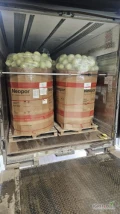 Kupię kapustę handlową kaliber 1 kg -4 kg  w karton boks ilości 21 ton płatne na załadunku 