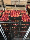 Sprzedam Za wagę w skrzyni jabłka   odmiany prince i champion z KA.