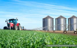 Silosy drożeją, bo są dotacje do ich budowy? - KRIR składa wniosek do UOKiK