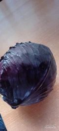 Sprzedam około 10 ton kapusty czerwonej. Główki od 2 do 4kg. Kapusta ładna i czysta. Cena do uzgodnienia 