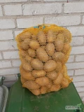 Sprzedam ziemniaki soraja 