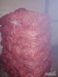 Sprzedam marchew handlową nie myta workowana worki 10kg lub 20kg cena 800tona 