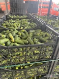 Sprzedam ogórek świeży , import , ilości całosamochodowe kaliber 9 -12