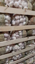 czosnek kosze 5kg. w koszu bambusowym lub plastikowym 