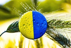 WIR: czy Ukraina zastąpi Polskę na rynku rolno-spożywczym?