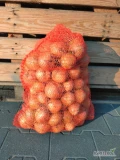 Sprzedam cebulę młodą, dobrze dosuszona, worek 10, 15 kg 