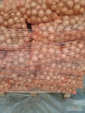 Sprzedam cebulę 4.5~7cm jasną zdrowa łuska workowaną po 15kg cena 80gr.600 worków .