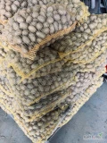 Sprzedam ziemniaki kaliber sadzeniaki Soraya 50 x15 kg twardy nie porośnięty