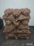 Sprzedam ziemniaki gala 45+ pakowane w worki 15 kg około 3 ton