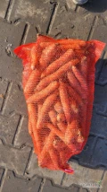 Sprzedam marchew brudna sypana worek 10kg ilości tirowe i paletowe kaliber 2,5-5 