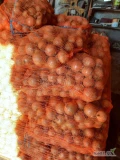 Sprzedam cebulę żółta w worku lenko 15 kg. Kal, 4,5+ Dostępne od ręki 350 workow 