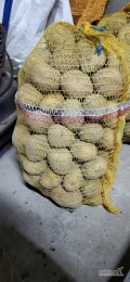 Witam mam do sprzedania ziemniaki odmiany Michalina pakowane w worki po 15kg.  Więcej informacji udzielę telefonicznie.